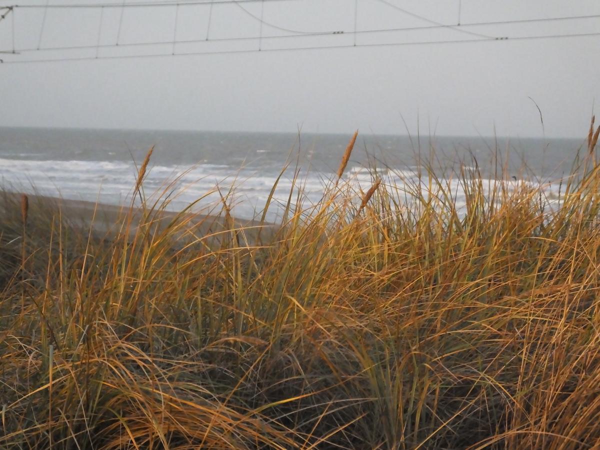 Bed and Breakfast Sable D'O -Vlak Aan De Zee- Mariakerke  Zewnętrze zdjęcie